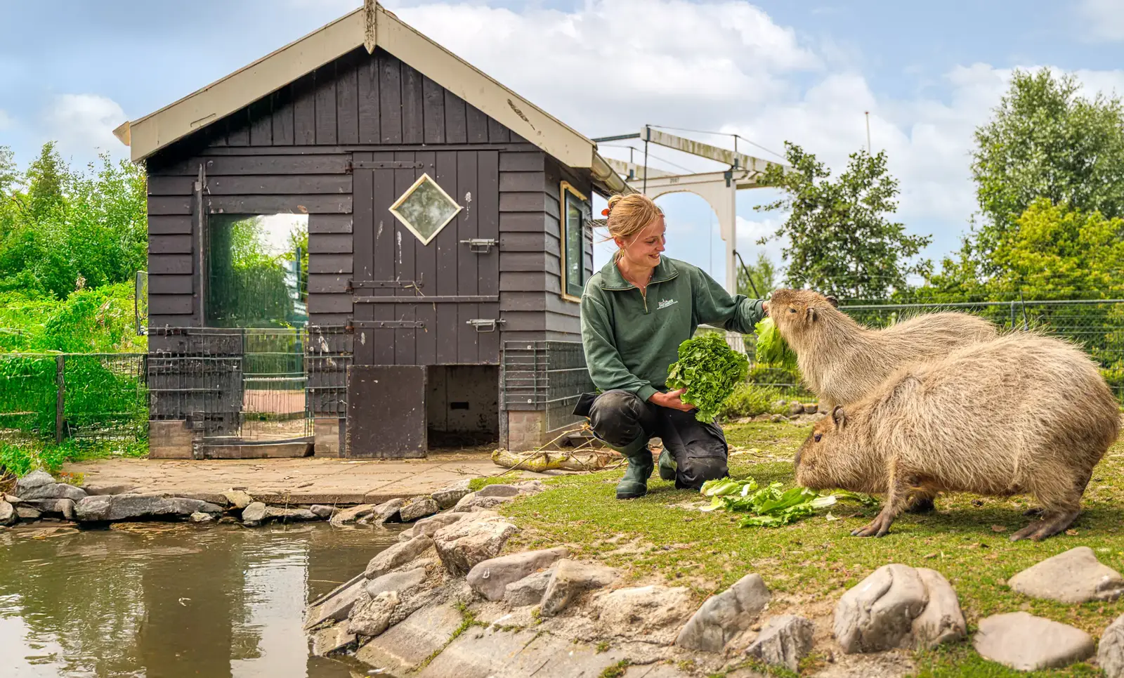 Blanckendaell Park Noord Holland dagje uit capibara voeren