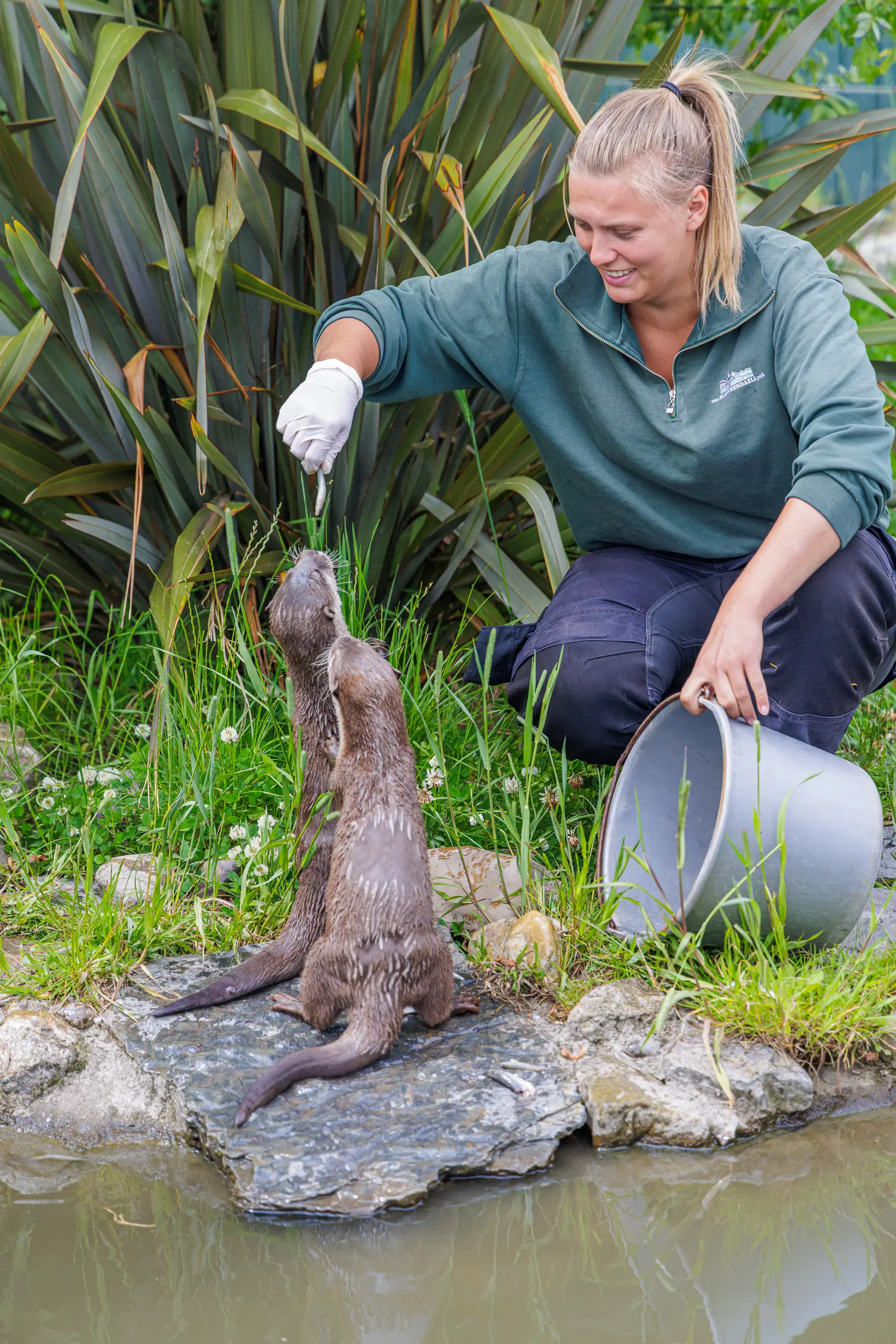 Blanckendaell Park Noord Holland dagje uit otters voeren 3 kopie