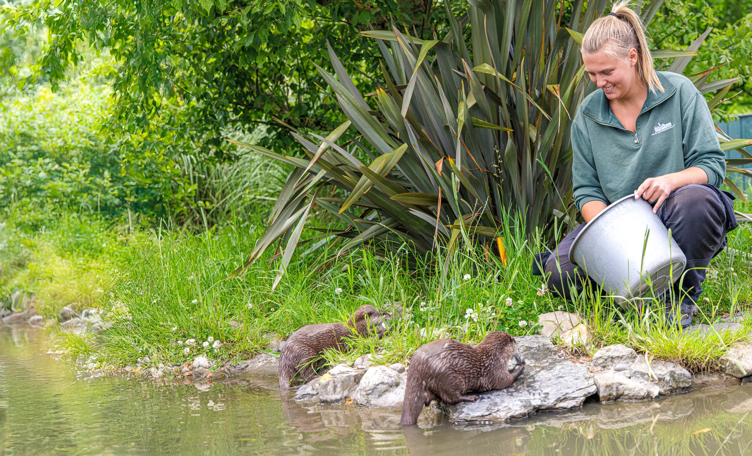 Dierverzorger voert een otter bij Van Blanckendaell Park
