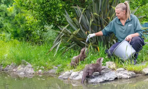 Blanckendaell park noord holland dagje uit otters voeren2 kopie.960x0