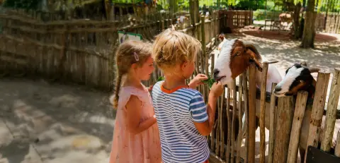 Van Blanckendeall Park Zoo speeltuin museum Noord  Holland kinderboerderij