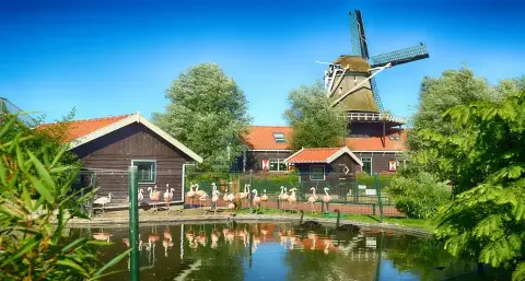 Van Blanckendeall Park Zoo speeltuin museum Noord  Holland  Molen